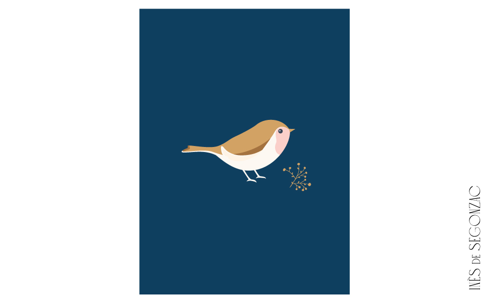 Oiseau - 664