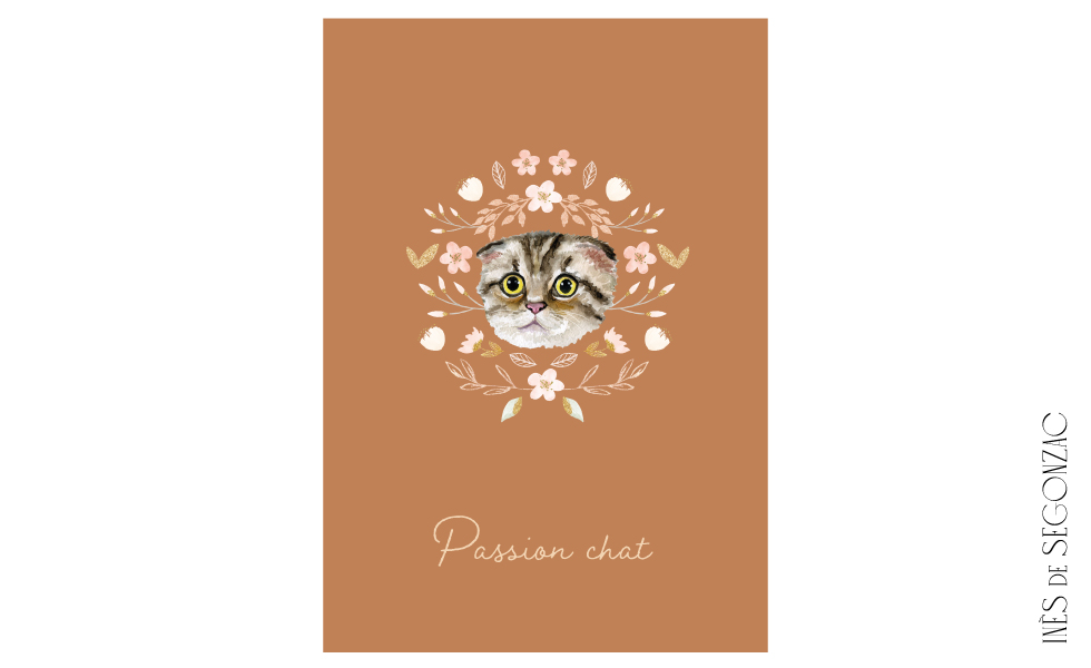 Passion chat - 652