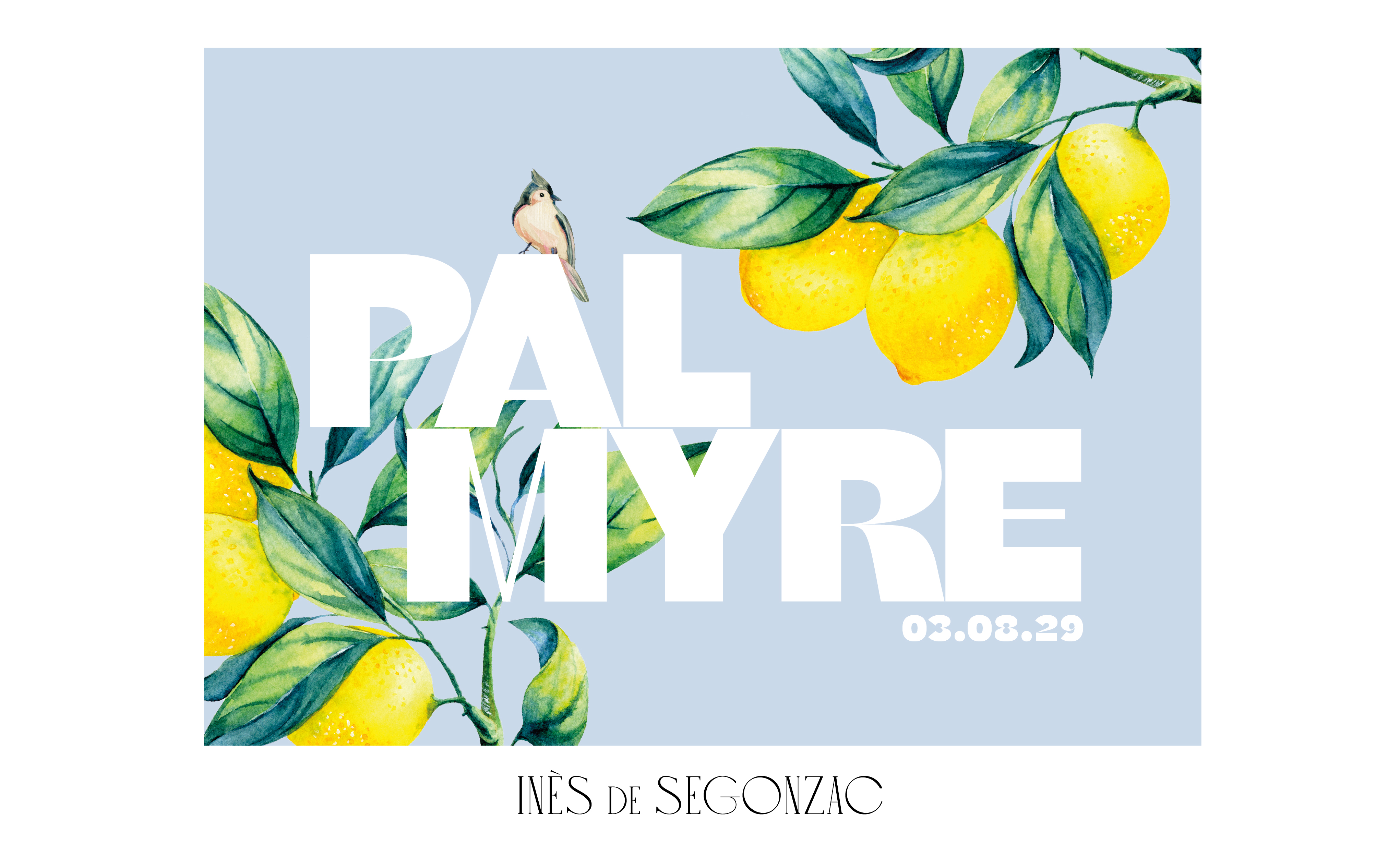 Palmyre - 2811