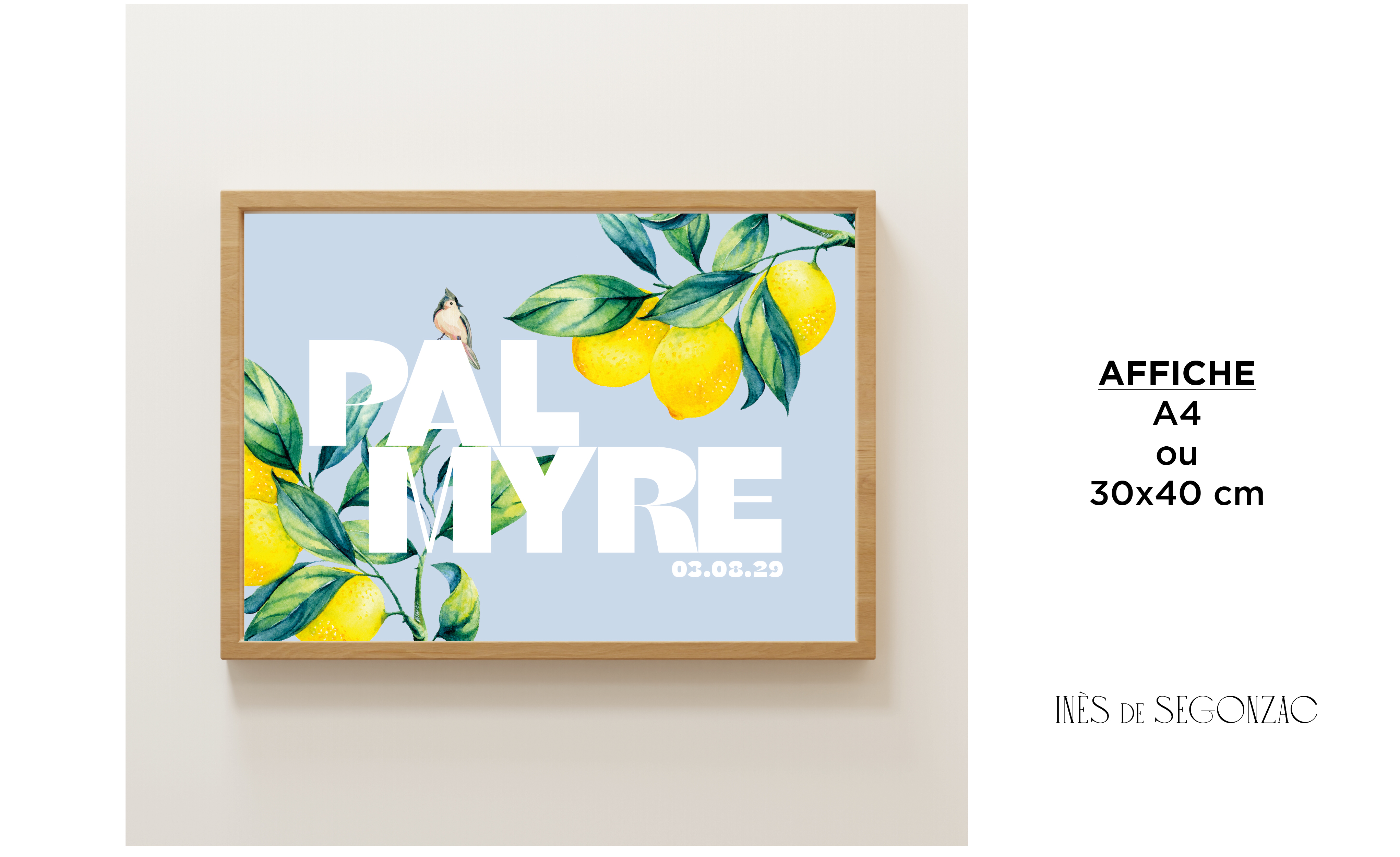 Palmyre - 2820