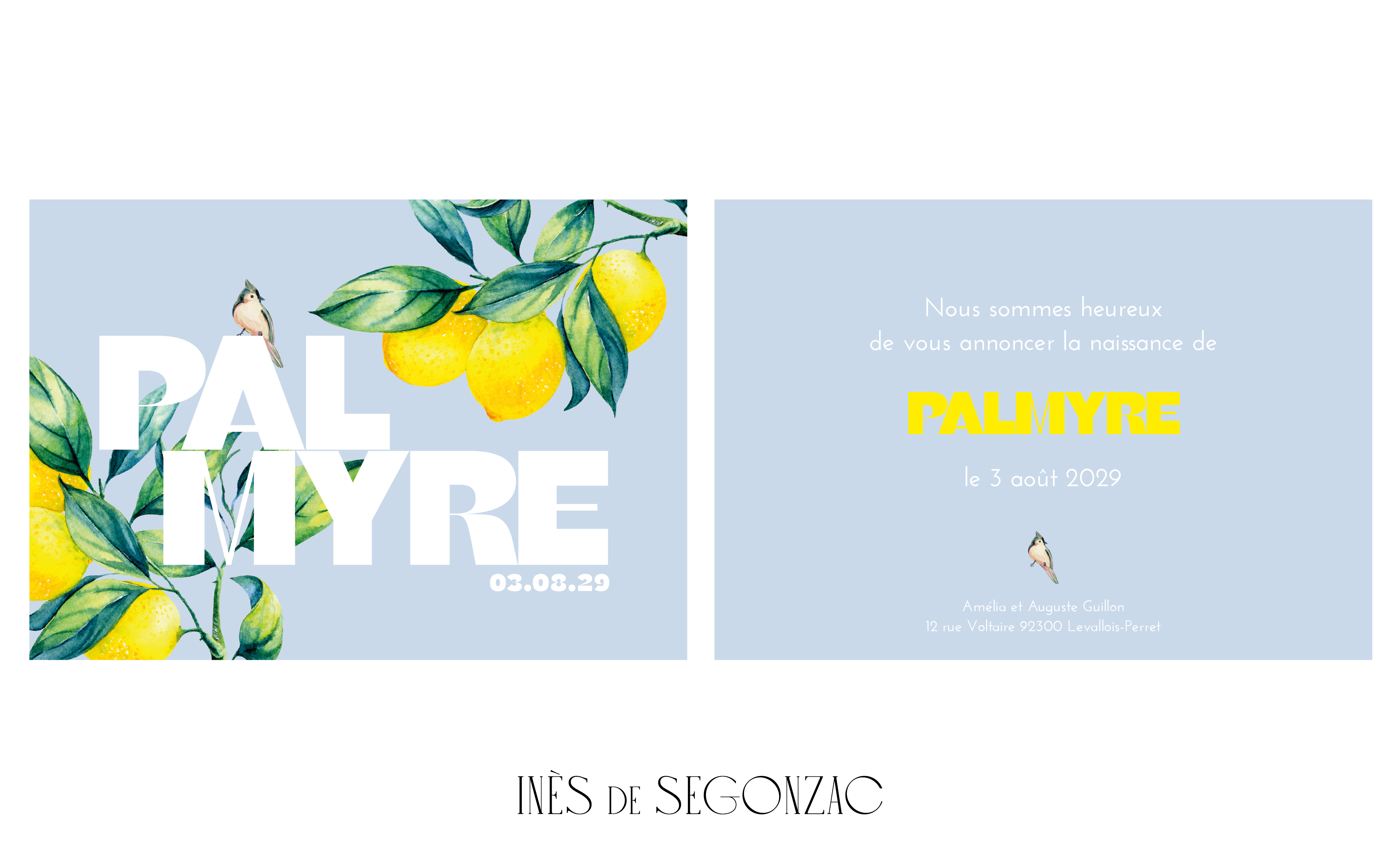 Palmyre - 2813