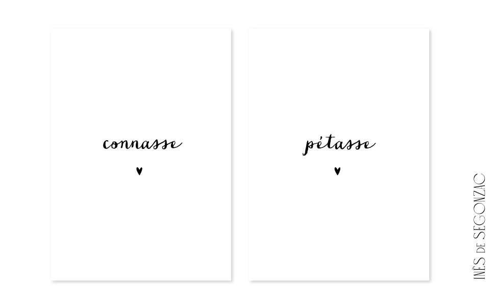 2 cartes Connasse - Pétasse - 888
