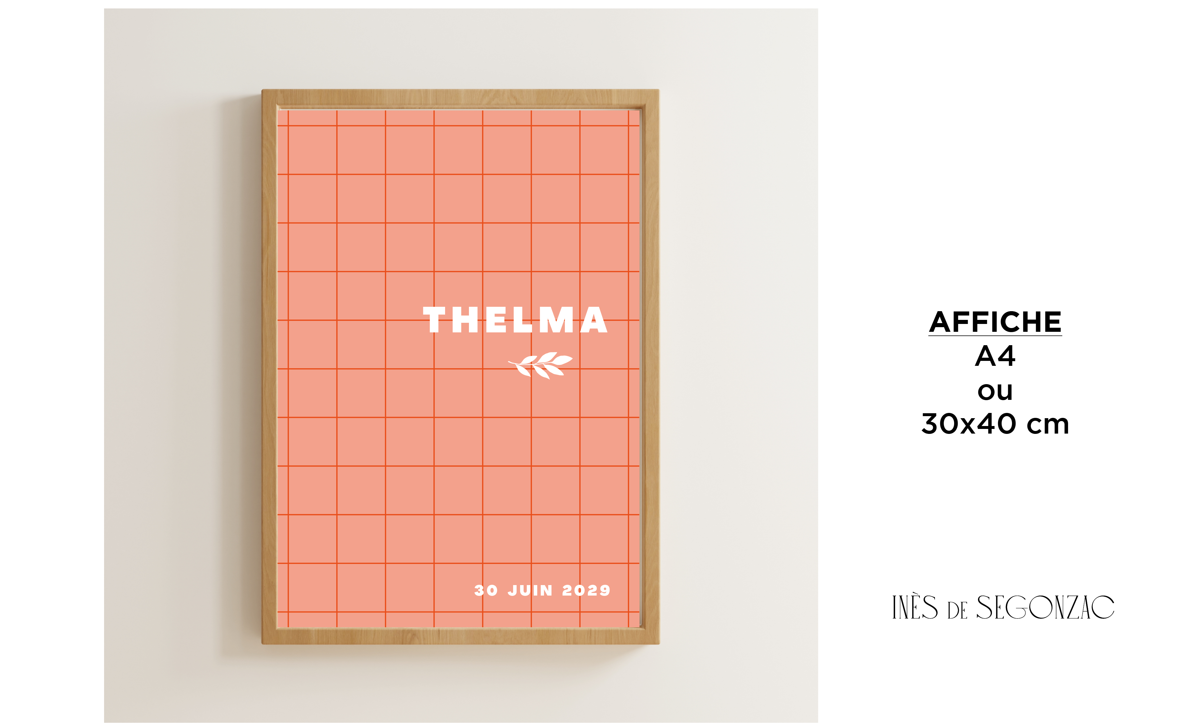 Thelma - 2641