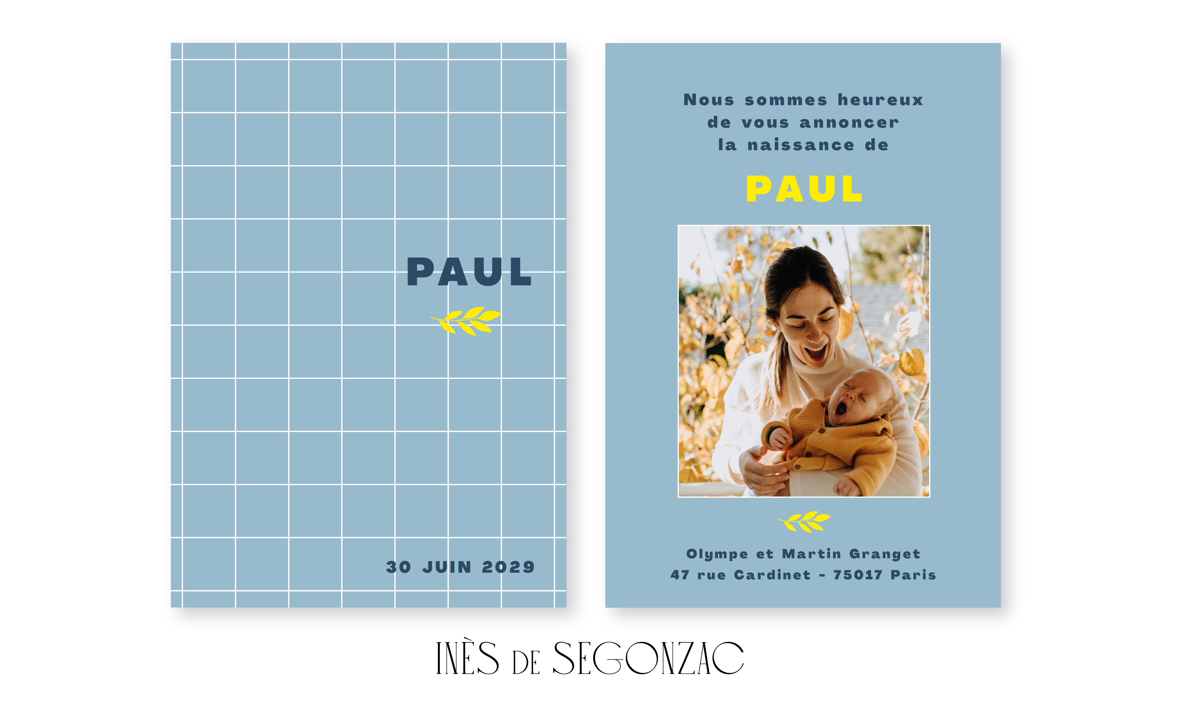 Paul - 2627