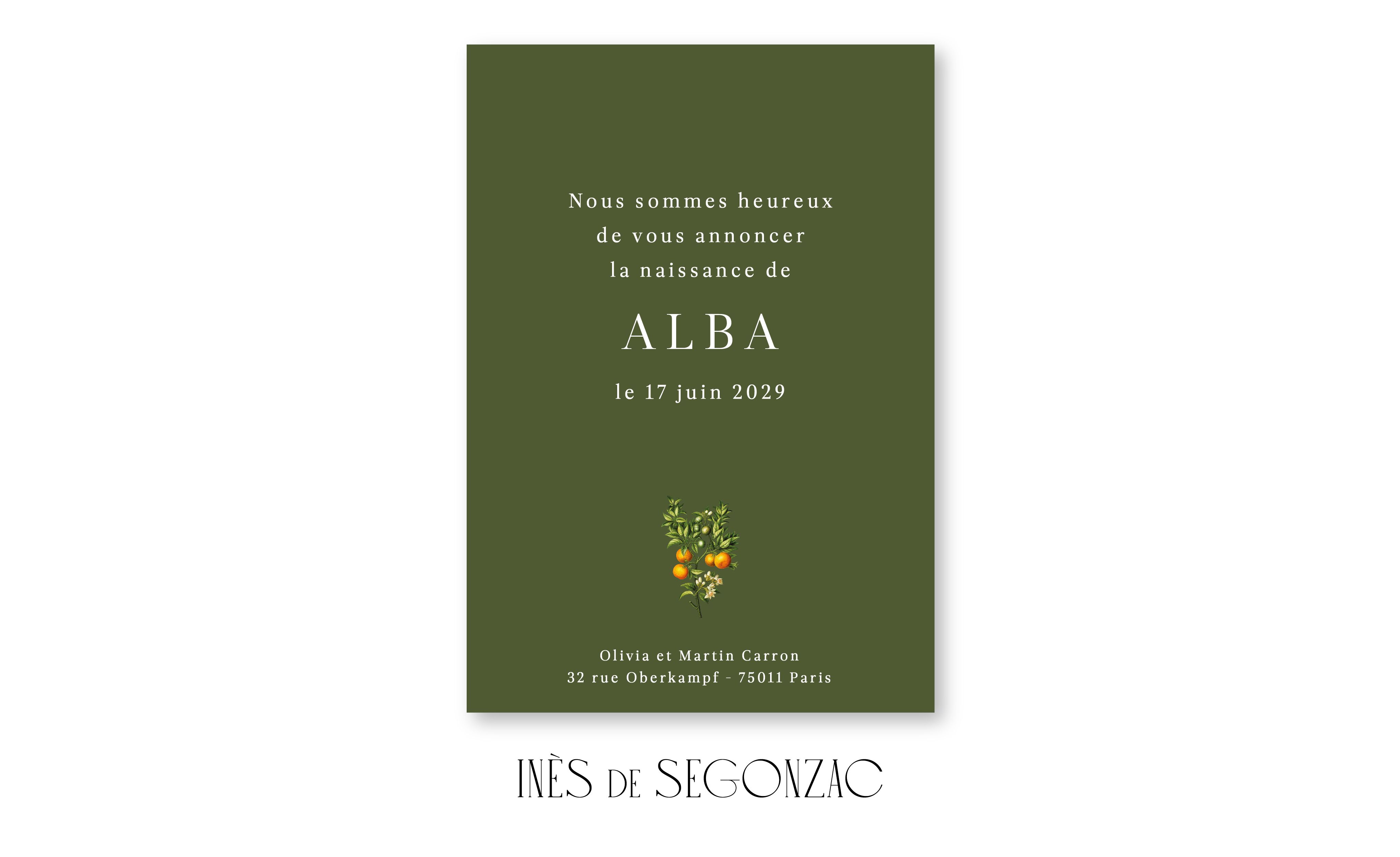 Alba - 2593