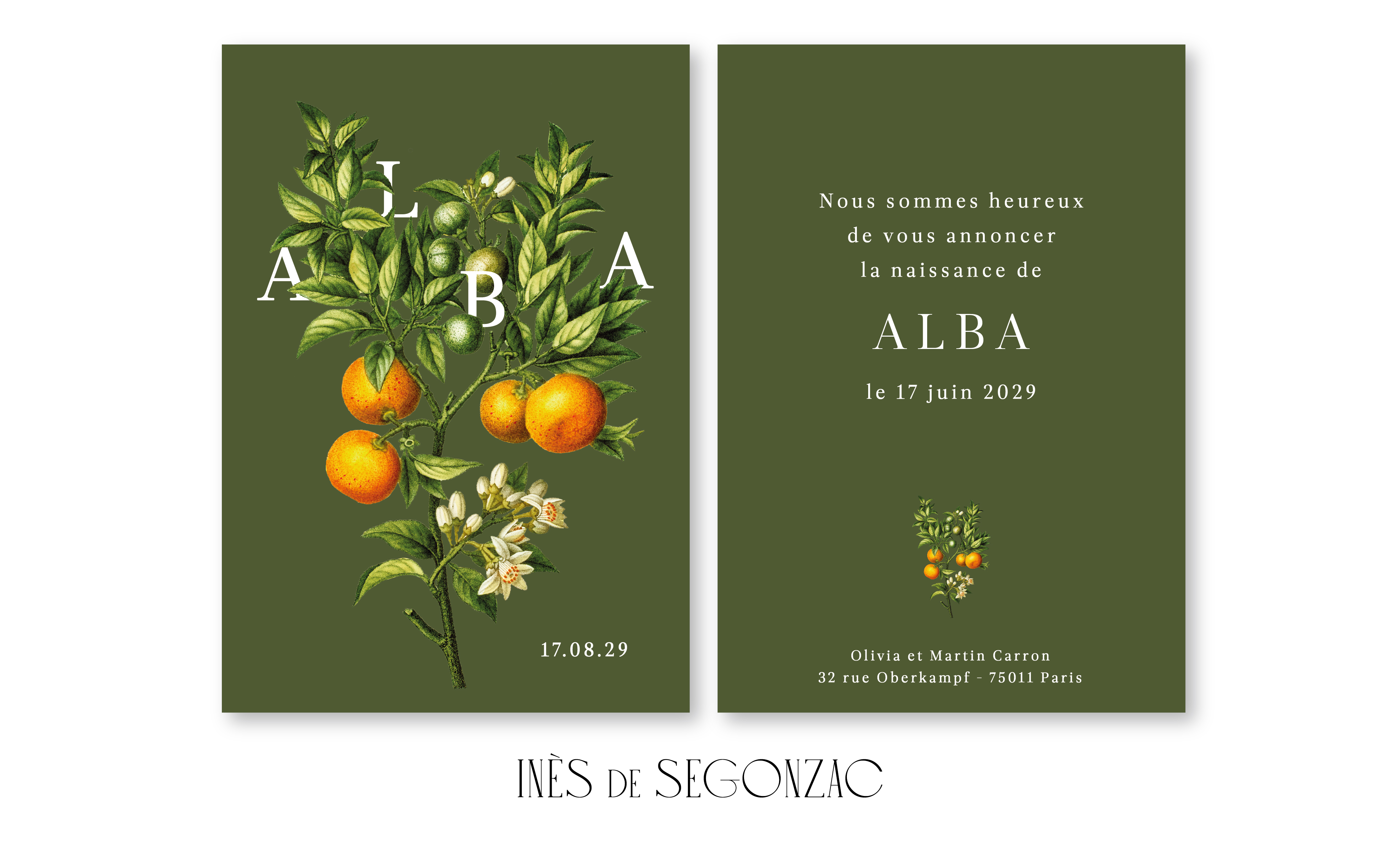 Alba - 2594
