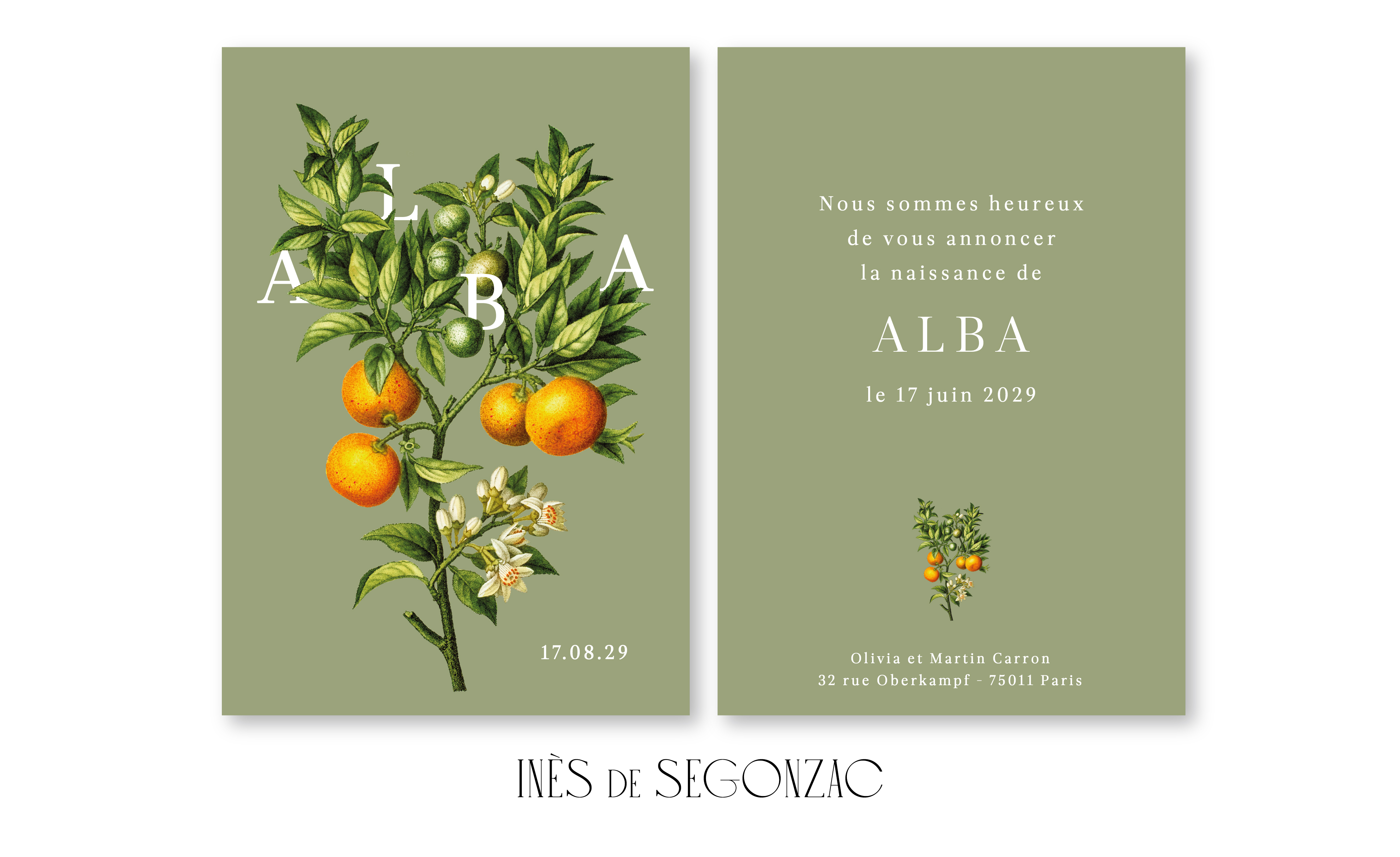Alba - 2596
