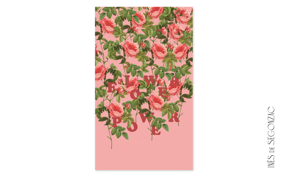 Flower Power rose - 590