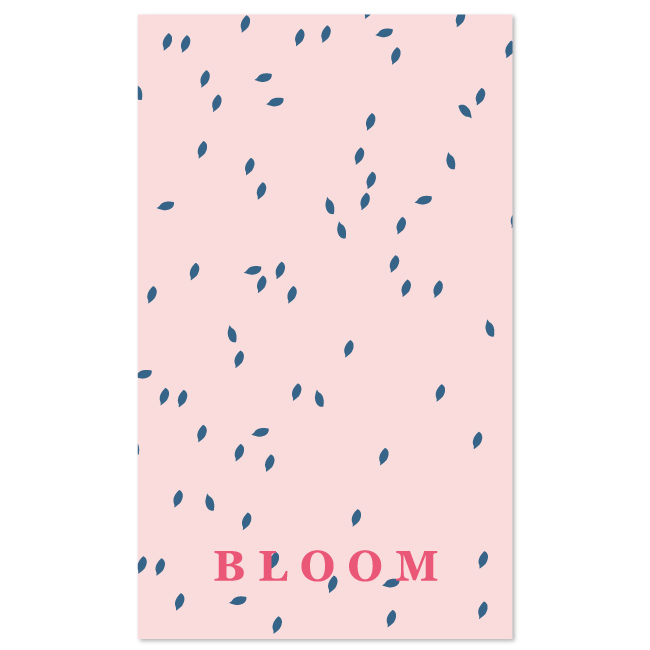 Bloom rose