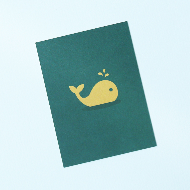 Baleine