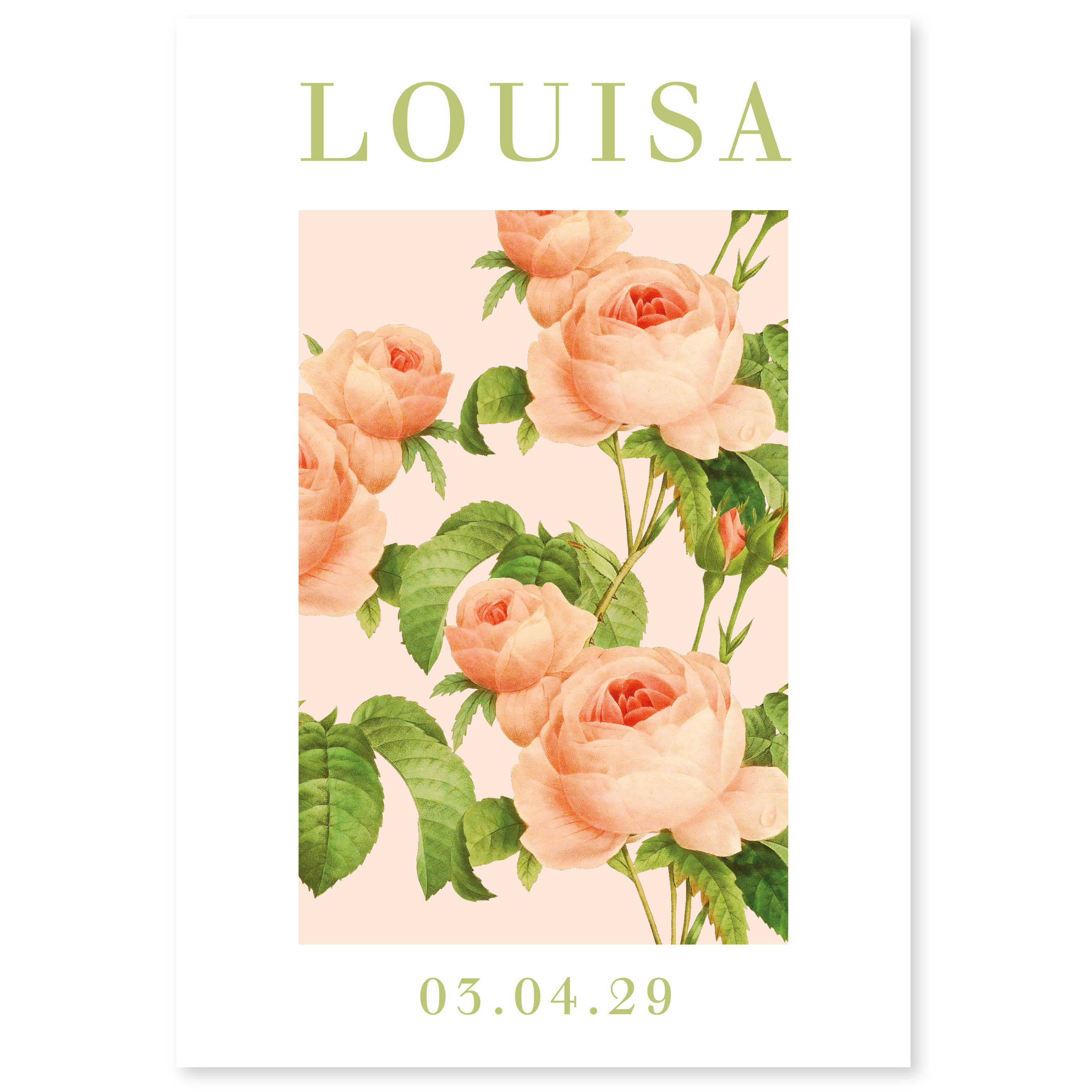 Louisa