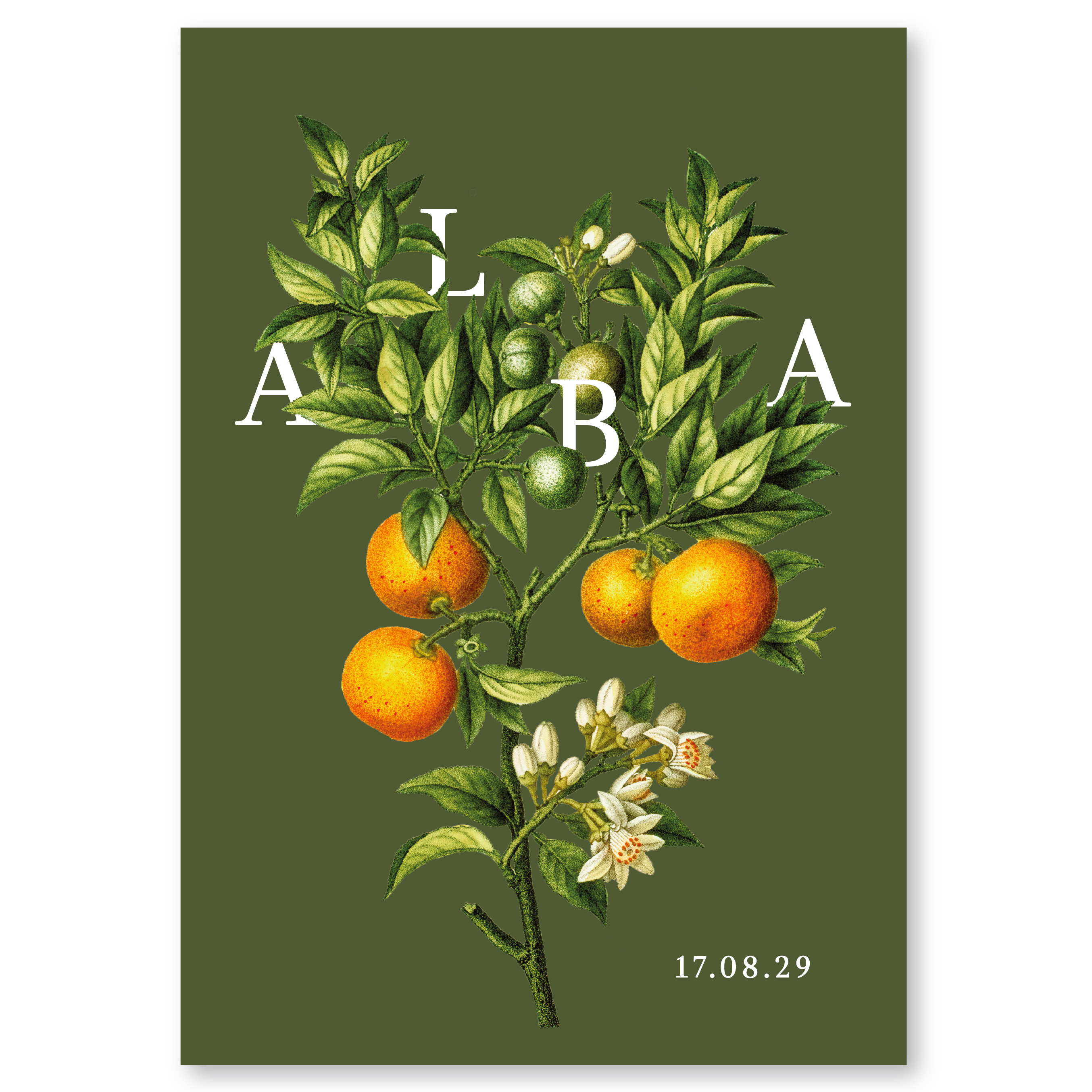 Alba
