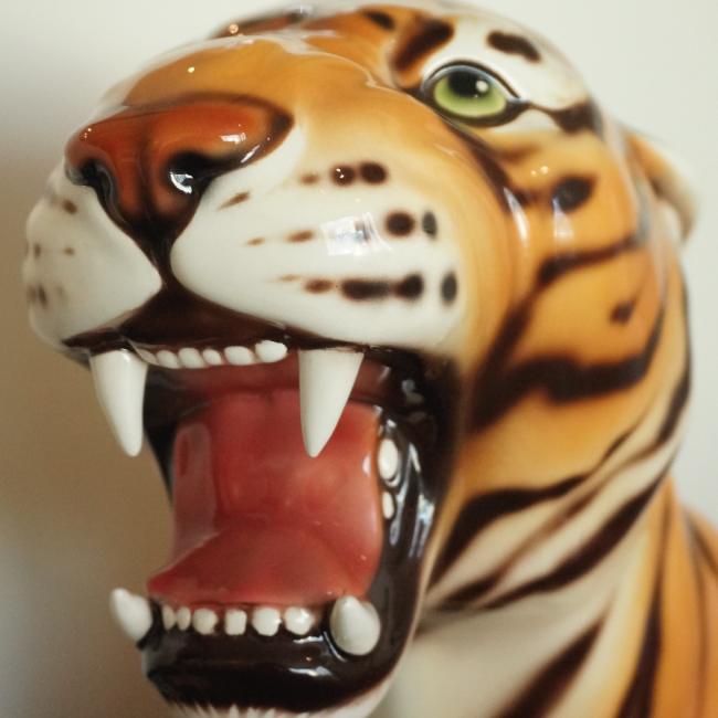 Photo Tigre