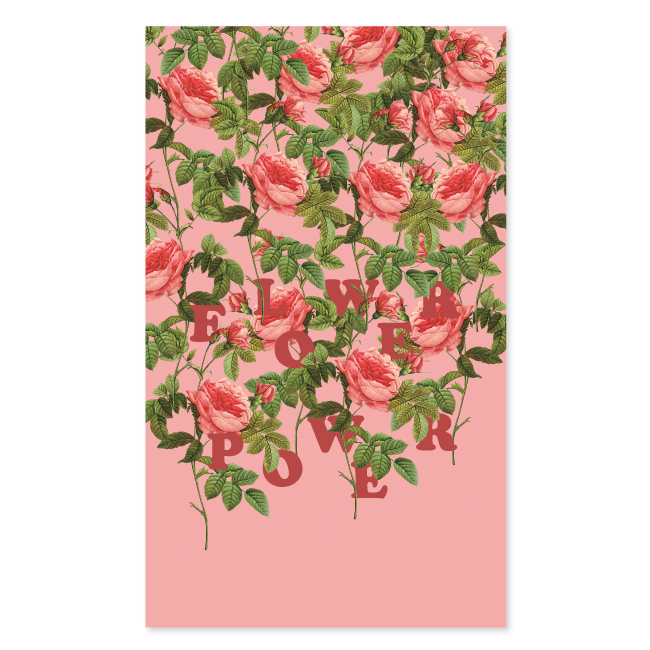 Flower Power rose