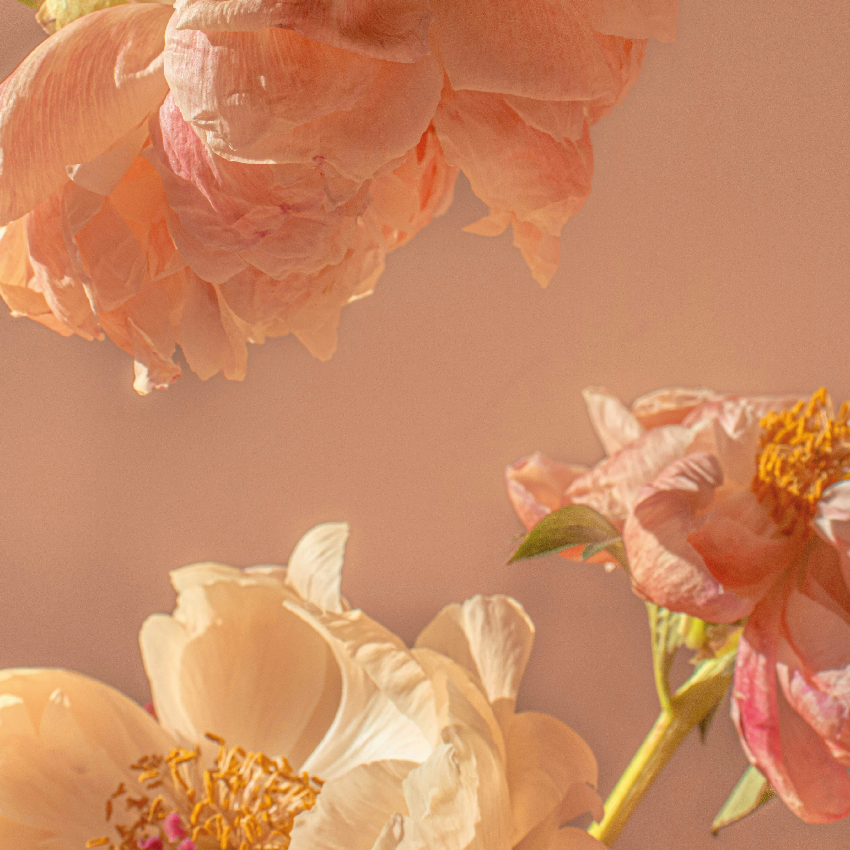 Fleur